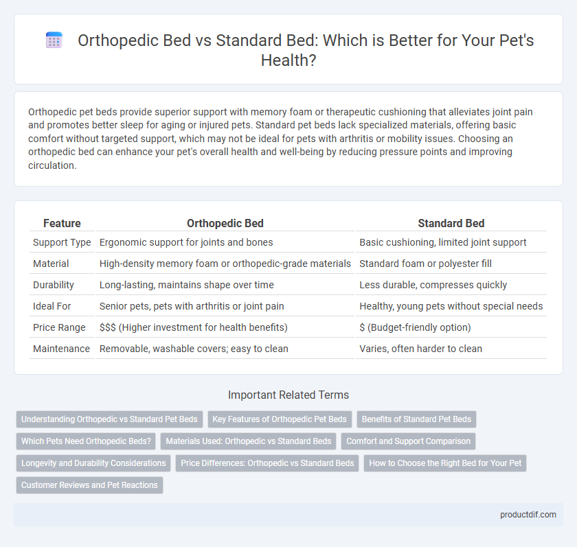 Orthopedic Bed vs Standard Bed: Which is Better for Your Pet's Health?