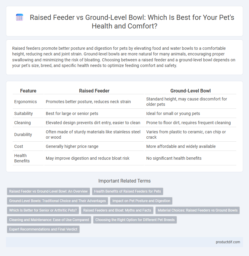 Raised Feeder vs Ground-Level Bowl: Which Is Best for Your Pet's Health and Comfort?