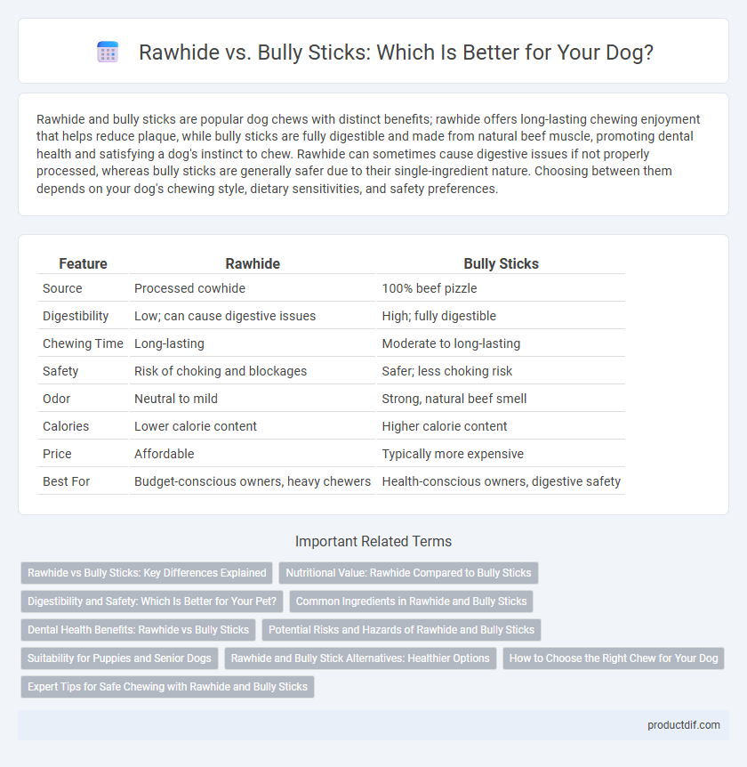 Rawhide vs. Bully Sticks: Which Is Better for Your Dog?