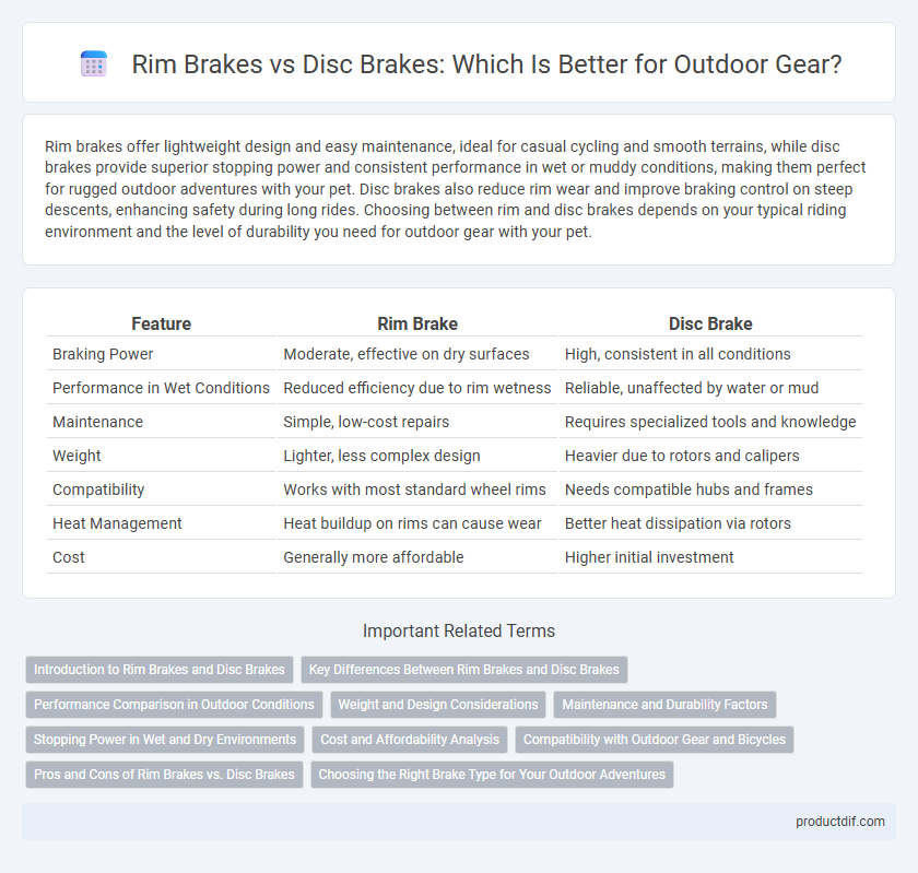 Rim Brakes vs Disc Brakes: Which Is Better for Outdoor Gear?