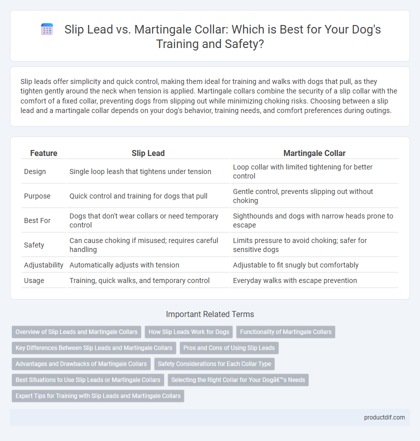 Slip Lead vs. Martingale Collar: Which is Best for Your Dog's Training and Safety?