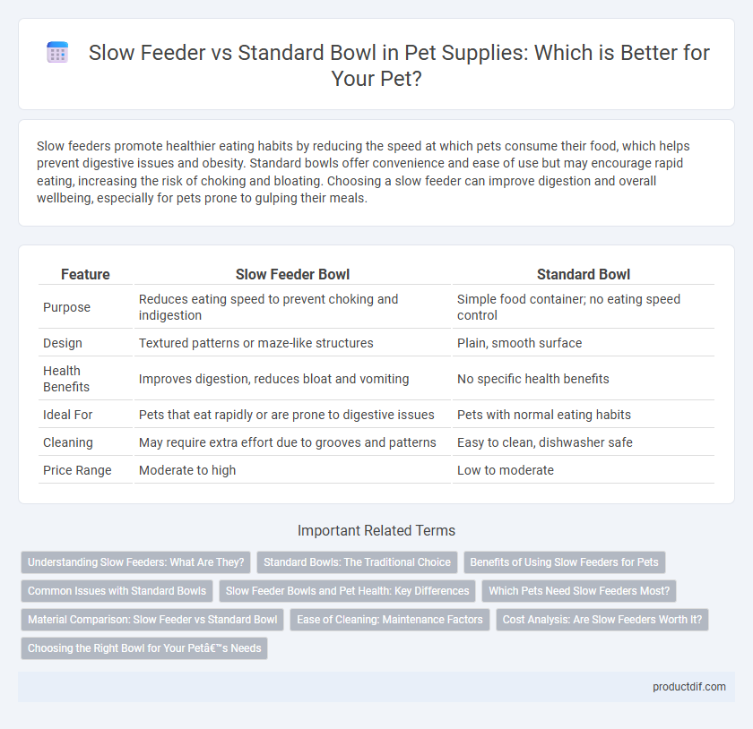 Slow Feeder vs Standard Bowl in Pet Supplies: Which is Better for Your Pet?
