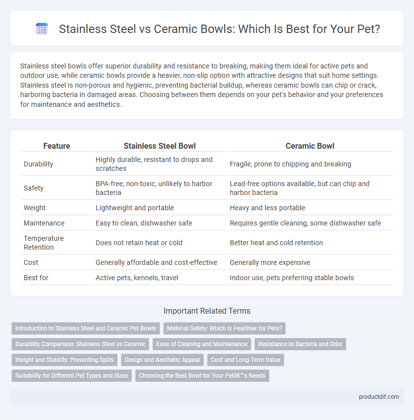 Stainless Steel vs Ceramic Bowls: Which Is Best for Your Pet?