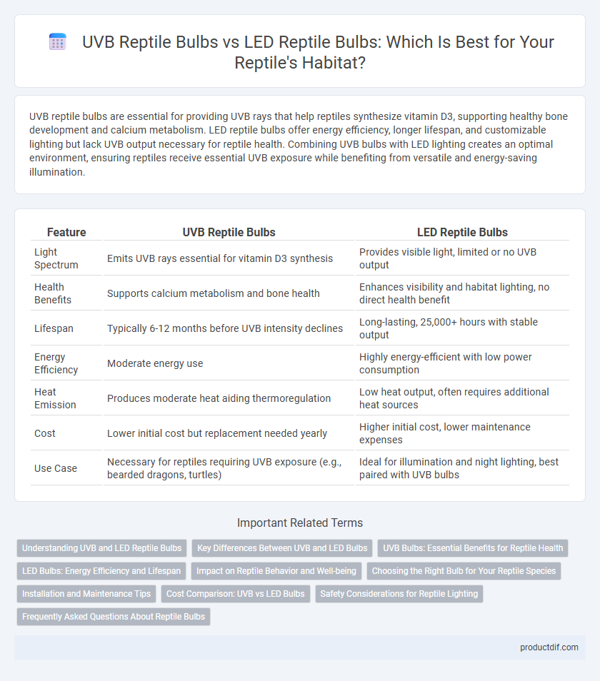 UVB Reptile Bulbs vs LED Reptile Bulbs: Which Is Best for Your Reptile's Habitat?