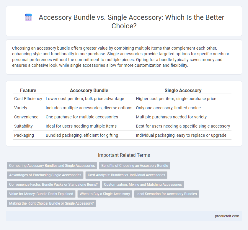 Accessory Bundle vs. Single Accessory: Which Is the Better Choice?