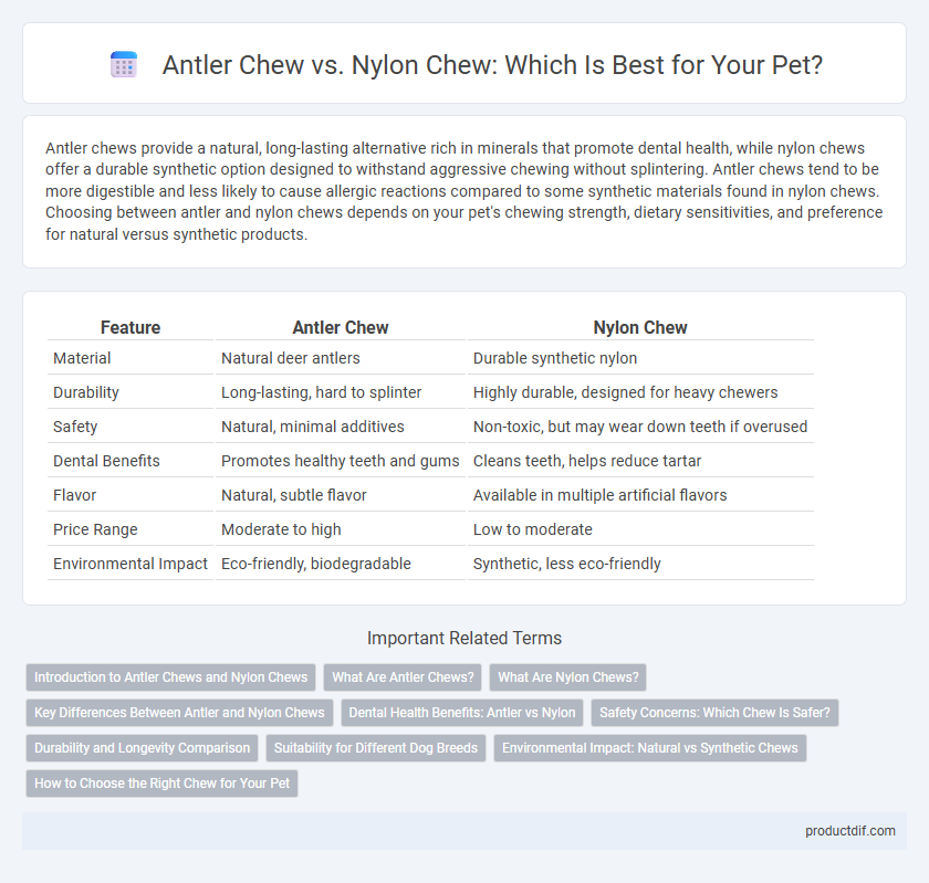 Antler Chew vs. Nylon Chew: Which Is Best for Your Pet?