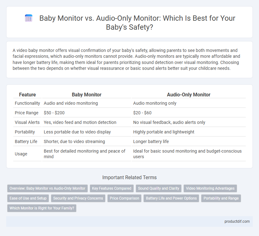 Baby Monitor vs. Audio-Only Monitor: Which Is Best for Your Baby's Safety?