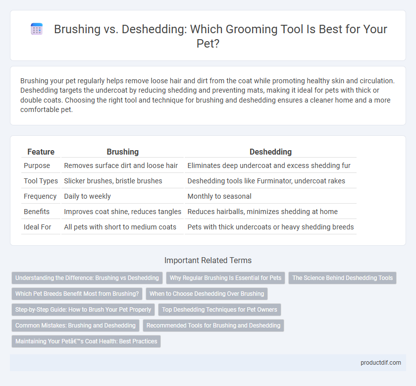 Brushing vs. Deshedding: Which Grooming Tool Is Best for Your Pet?