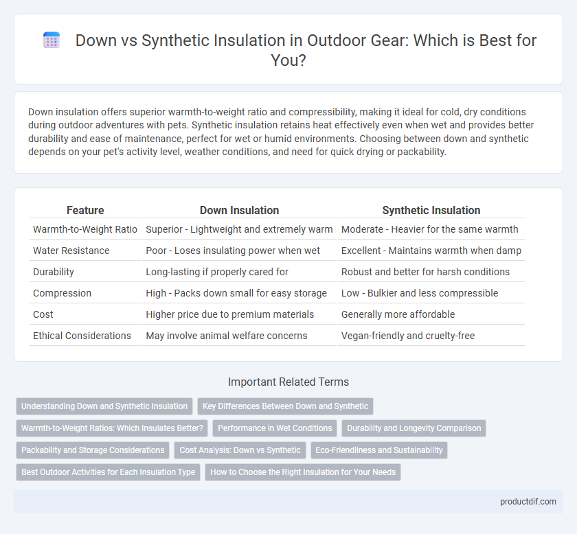 Down vs Synthetic Insulation in Outdoor Gear: Which is Best for You?
