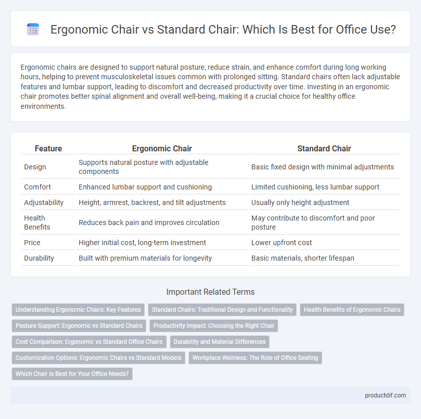 Ergonomic Chair vs Standard Chair: Which Is Best for Office Use?