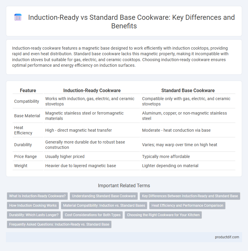 Induction-Ready vs Standard Base Cookware: Key Differences and Benefits