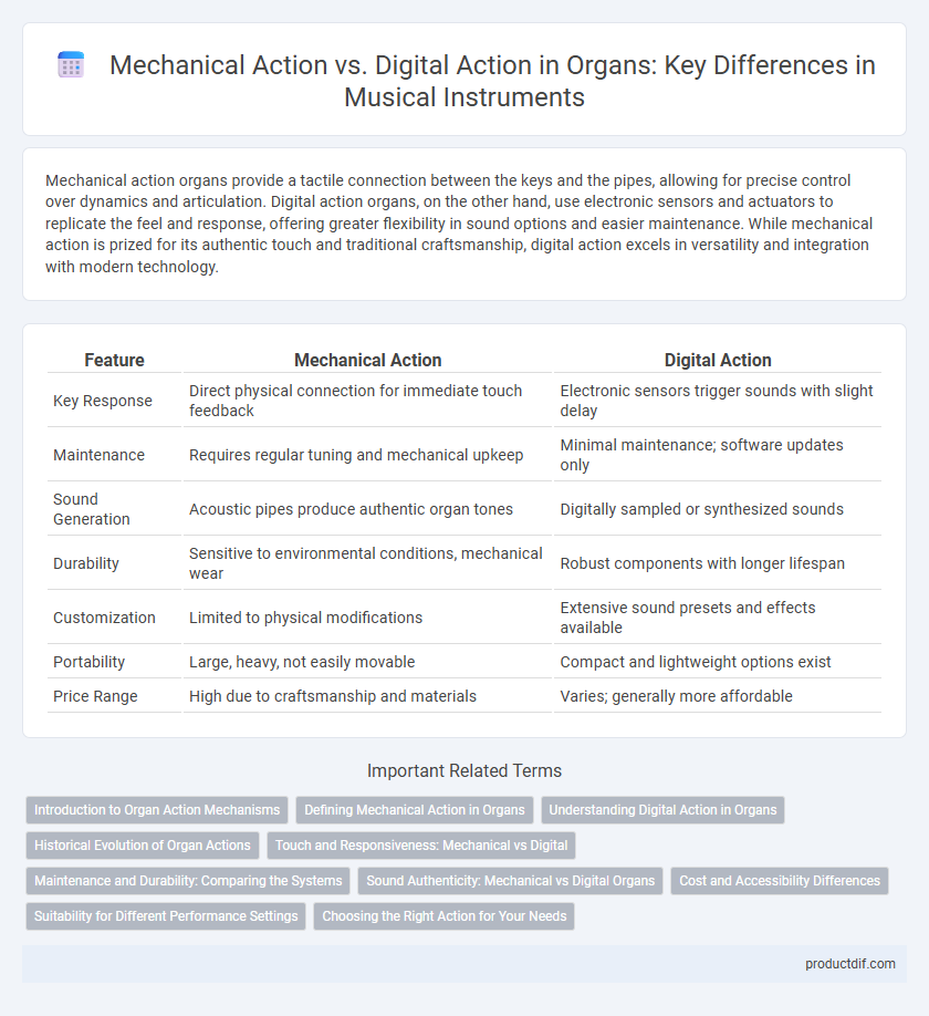 Mechanical Action vs. Digital Action in Organs: Key Differences in Musical Instruments