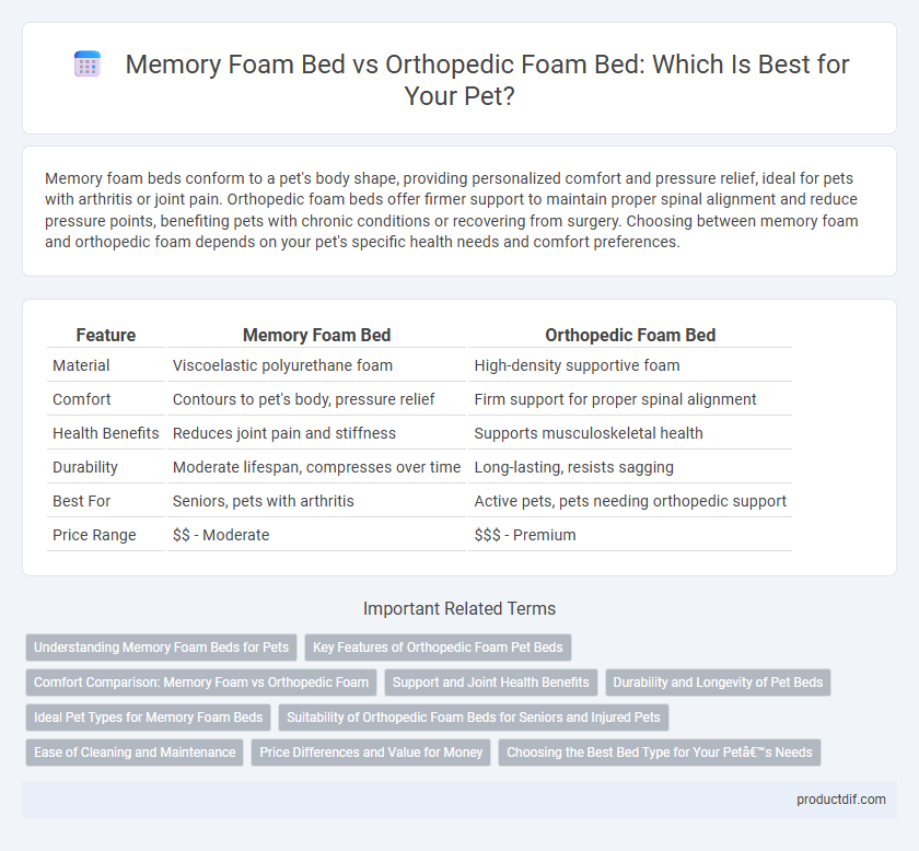 Memory Foam Bed vs Orthopedic Foam Bed: Which Is Best for Your Pet?