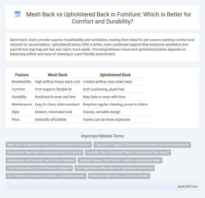 Mesh Back vs Upholstered Back in Furniture: Which Is Better for Comfort and Durability?