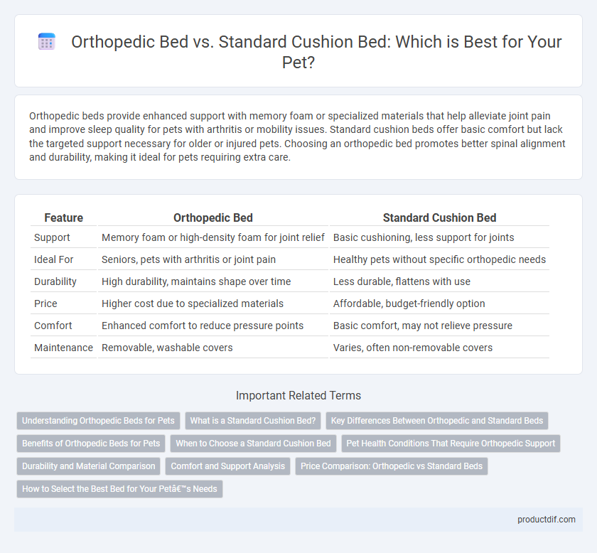 Orthopedic Bed vs. Standard Cushion Bed: Which is Best for Your Pet?