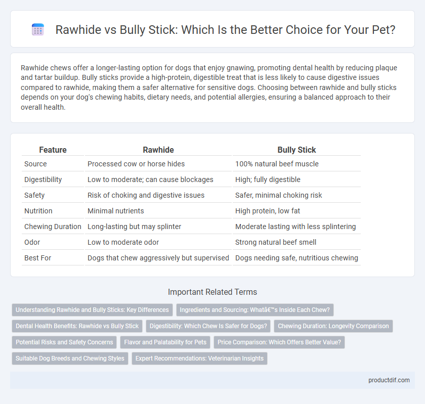 Rawhide vs Bully Stick: Which Is the Better Choice for Your Pet?