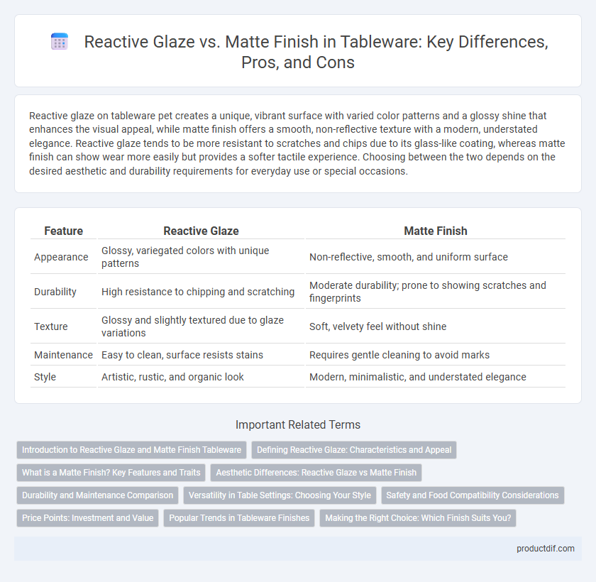 Reactive Glaze vs. Matte Finish in Tableware: Key Differences, Pros, and Cons