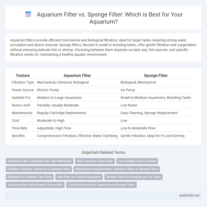 Aquarium Filter vs. Sponge Filter: Which is Best for Your Aquarium?