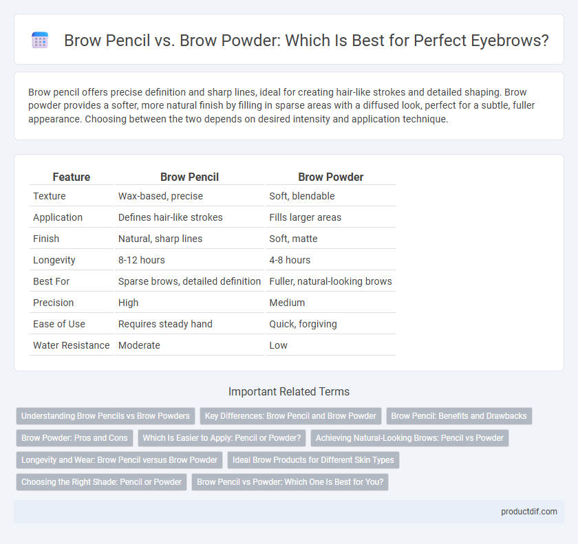 Brow Pencil vs. Brow Powder: Which Is Best for Perfect Eyebrows?