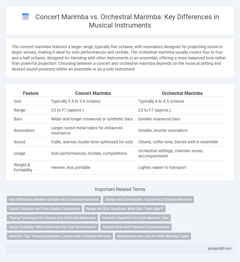 Concert Marimba vs. Orchestral Marimba: Key Differences in Musical Instruments