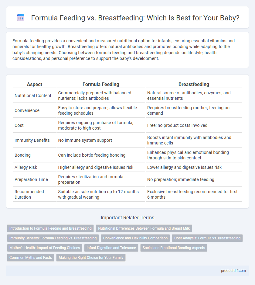 Formula Feeding vs. Breastfeeding: Which Is Best for Your Baby?