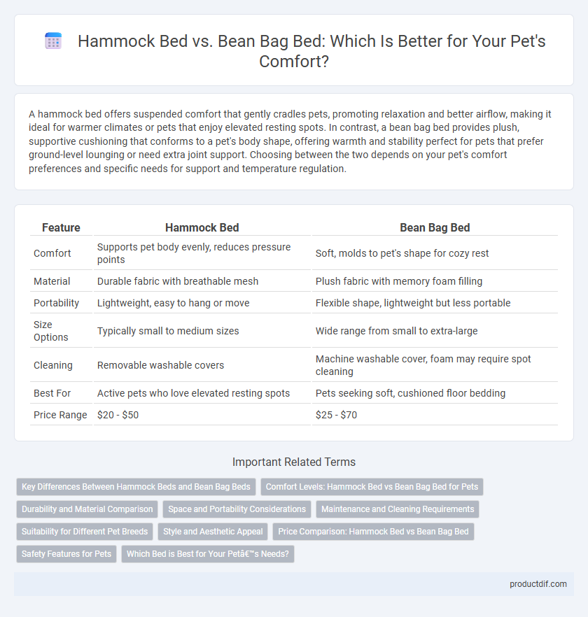 Hammock Bed vs. Bean Bag Bed: Which Is Better for Your Pet's Comfort?