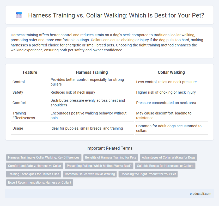 Harness Training vs. Collar Walking: Which Is Best for Your Pet?