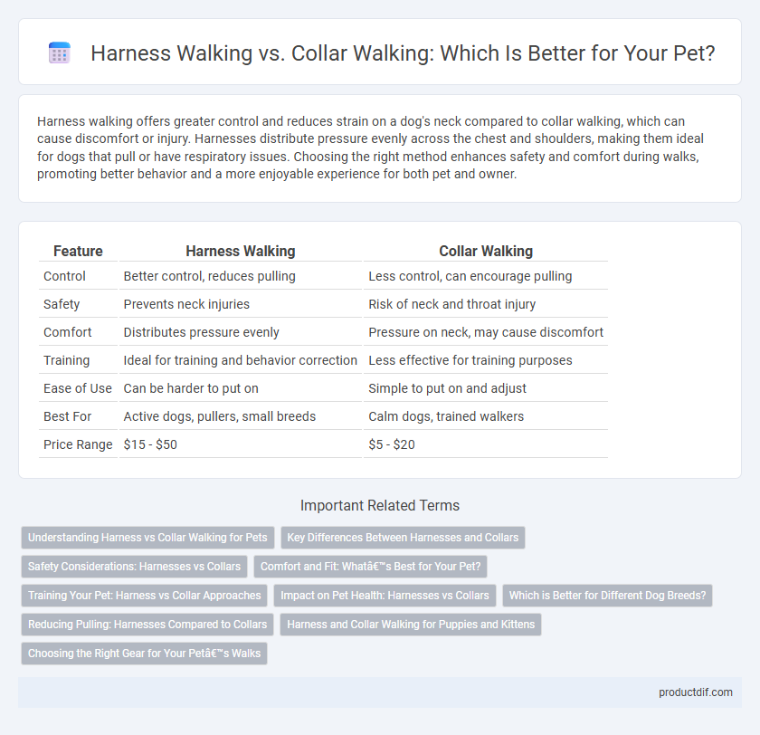 Harness Walking vs. Collar Walking: Which Is Better for Your Pet?