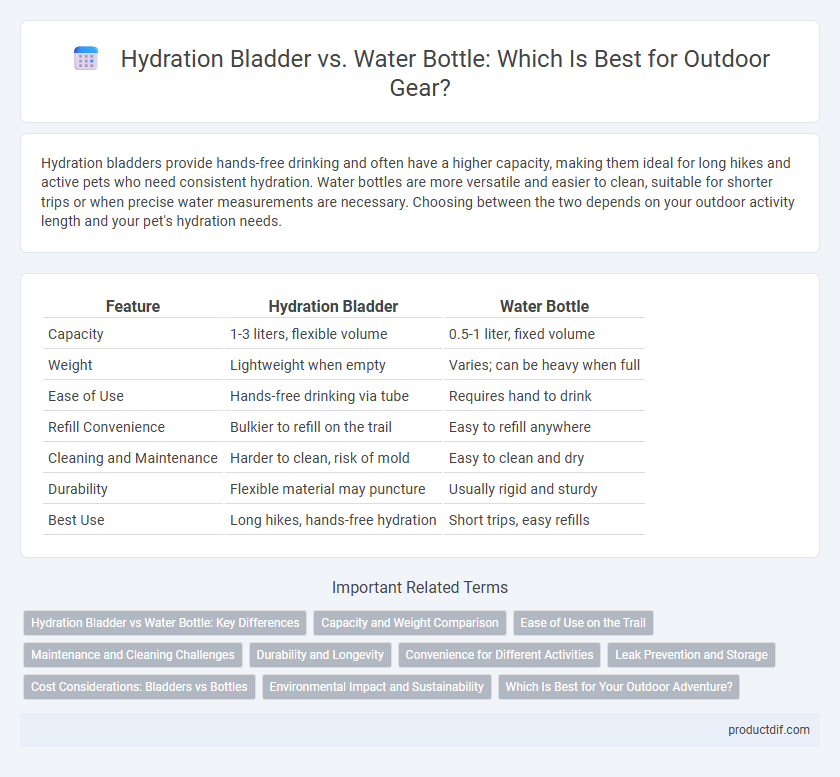 Hydration Bladder vs. Water Bottle: Which Is Best for Outdoor Gear?