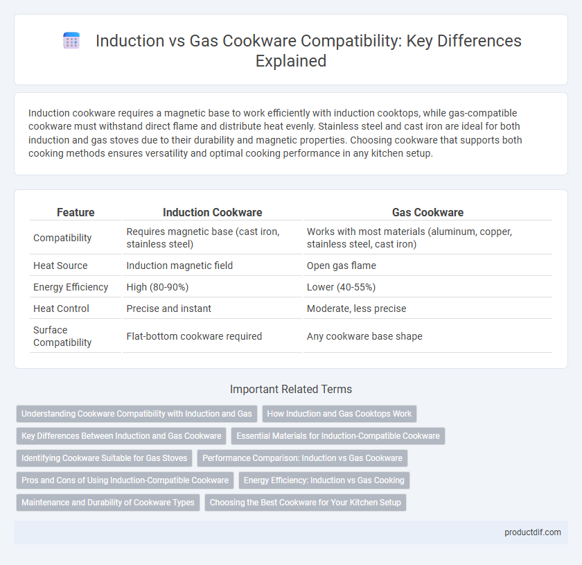 Induction vs Gas Cookware Compatibility: Key Differences Explained