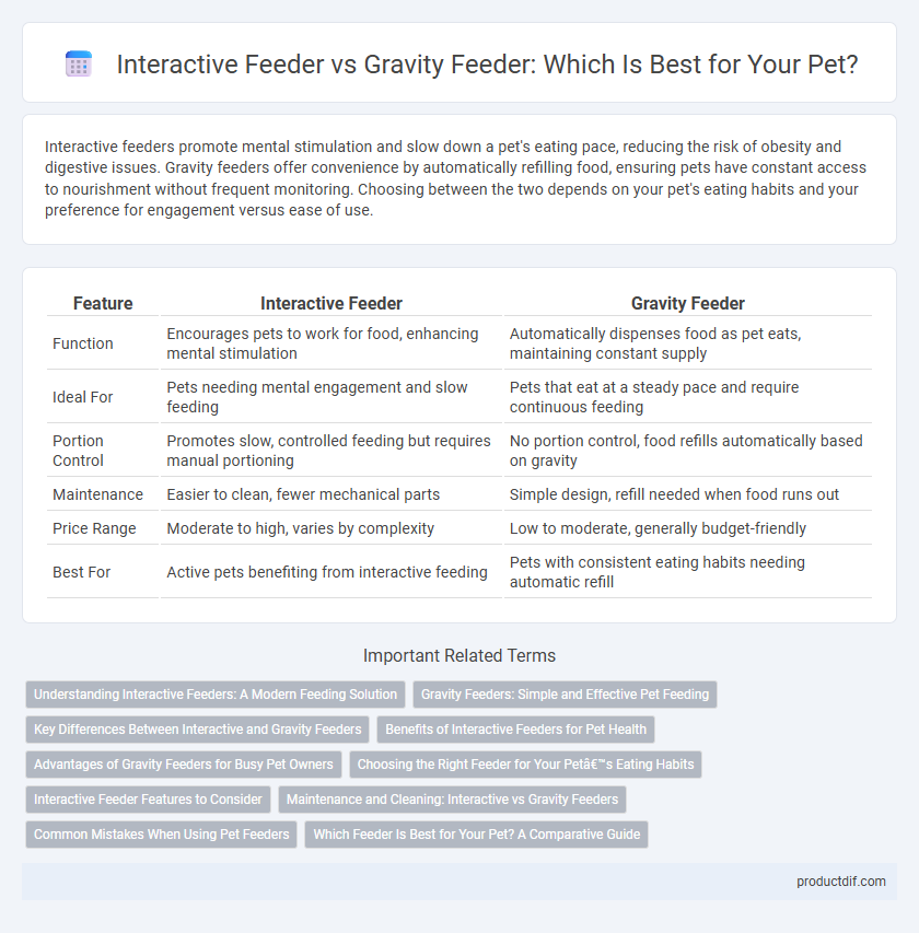 Interactive Feeder vs Gravity Feeder: Which Is Best for Your Pet?