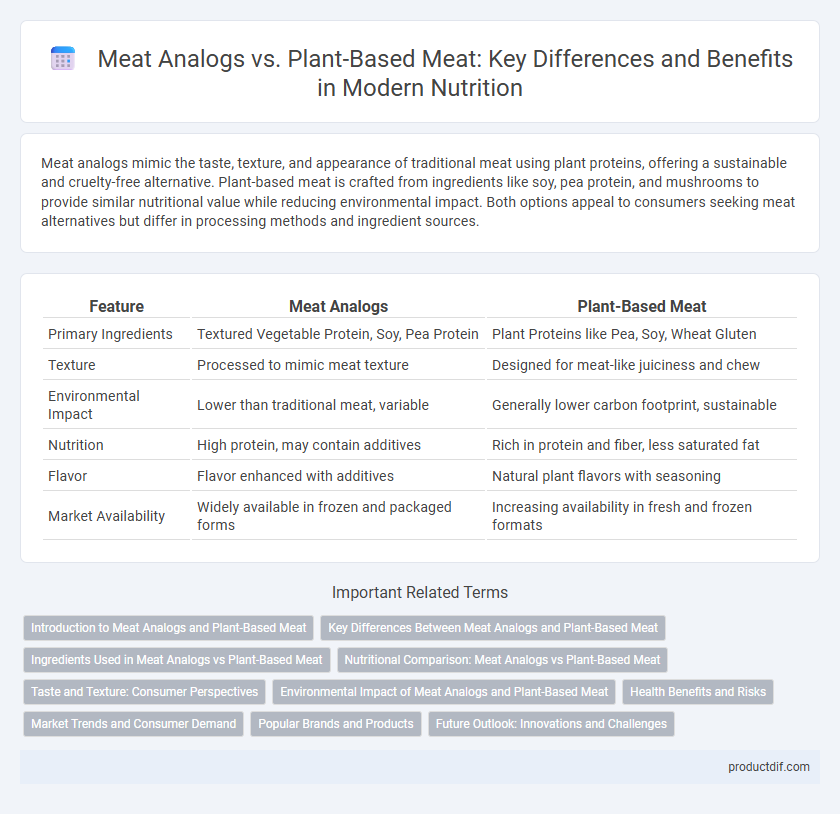 Meat Analogs vs. Plant-Based Meat: Key Differences and Benefits in Modern Nutrition