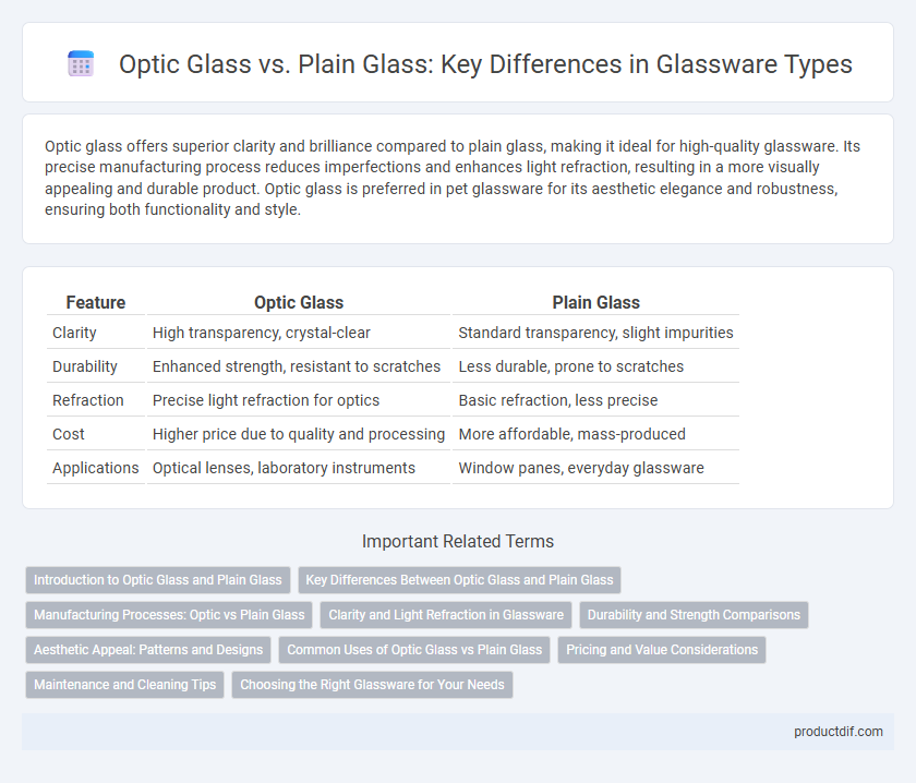 Optic Glass vs. Plain Glass: Key Differences in Glassware Types