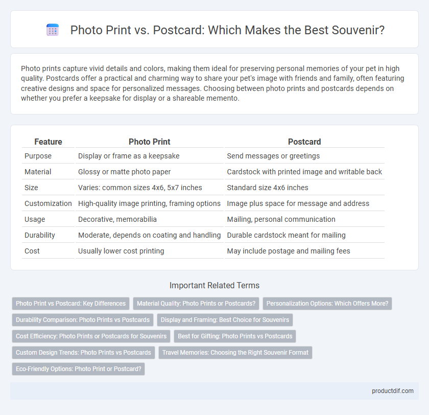 Photo Print vs. Postcard: Which Makes the Best Souvenir?