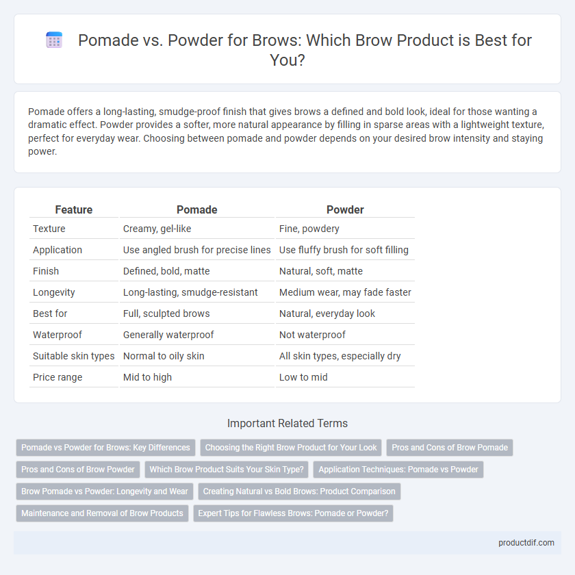 Pomade vs. Powder for Brows: Which Brow Product is Best for You?