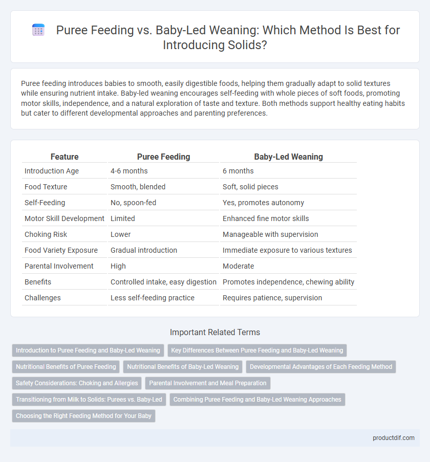 Puree Feeding vs. Baby-Led Weaning: Which Method Is Best for Introducing Solids?