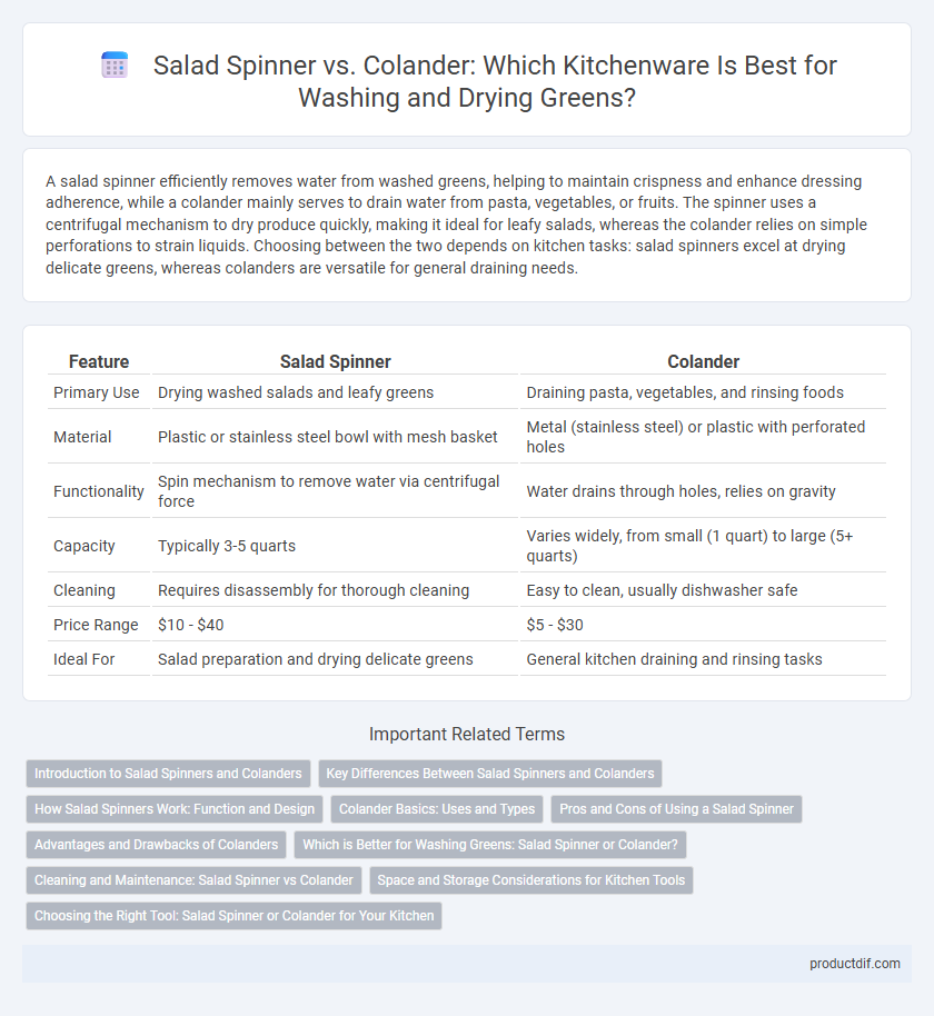 Salad Spinner vs. Colander: Which Kitchenware Is Best for Washing and Drying Greens?