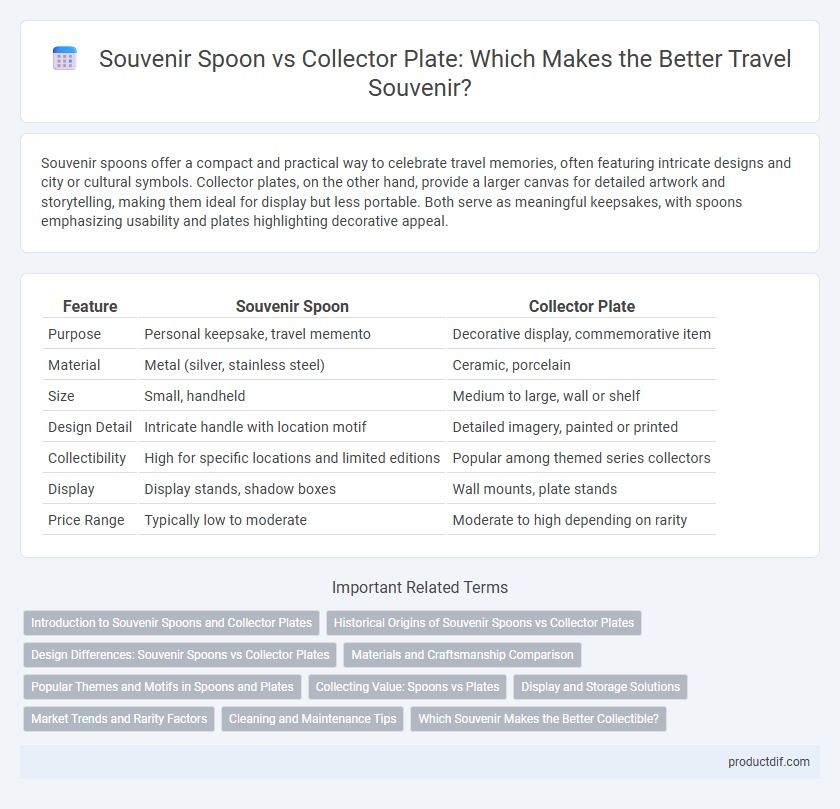 Souvenir Spoon vs Collector Plate: Which Makes the Better Travel Souvenir?