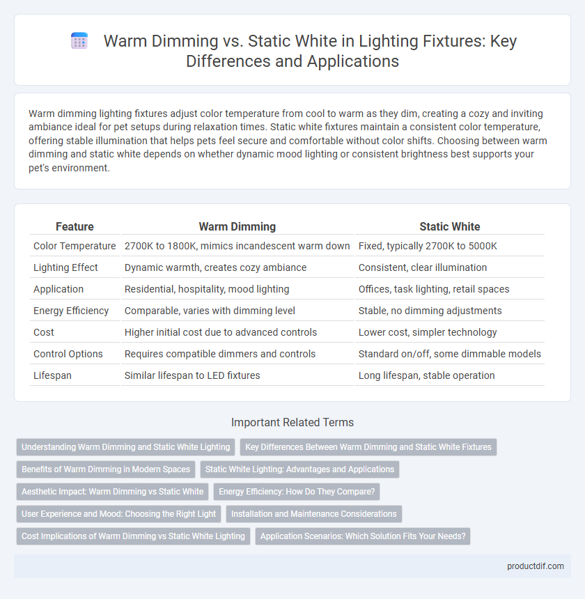 Warm Dimming vs. Static White in Lighting Fixtures: Key Differences and Applications