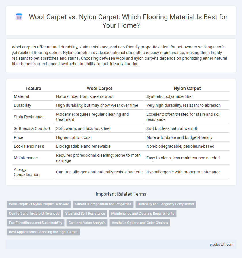 Wool Carpet vs. Nylon Carpet: Which Flooring Material Is Best for Your Home?