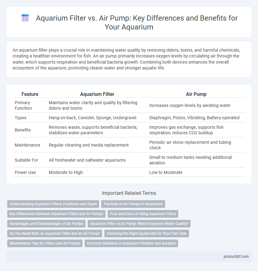 Aquarium Filter vs. Air Pump: Key Differences and Benefits for Your Aquarium