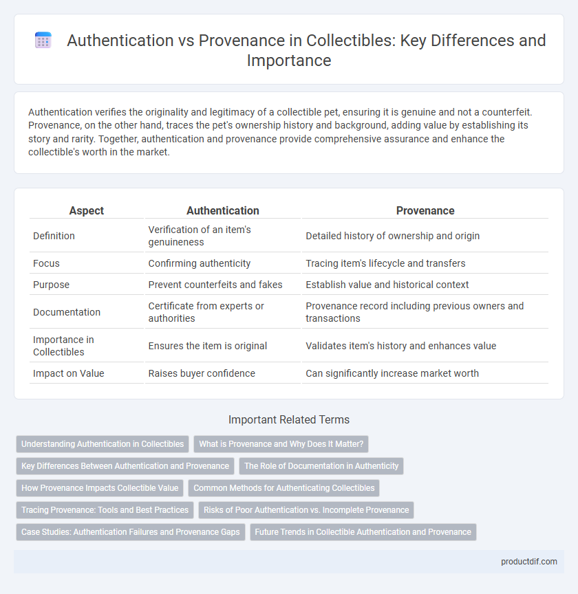 Authentication vs Provenance in Collectibles: Key Differences and Importance