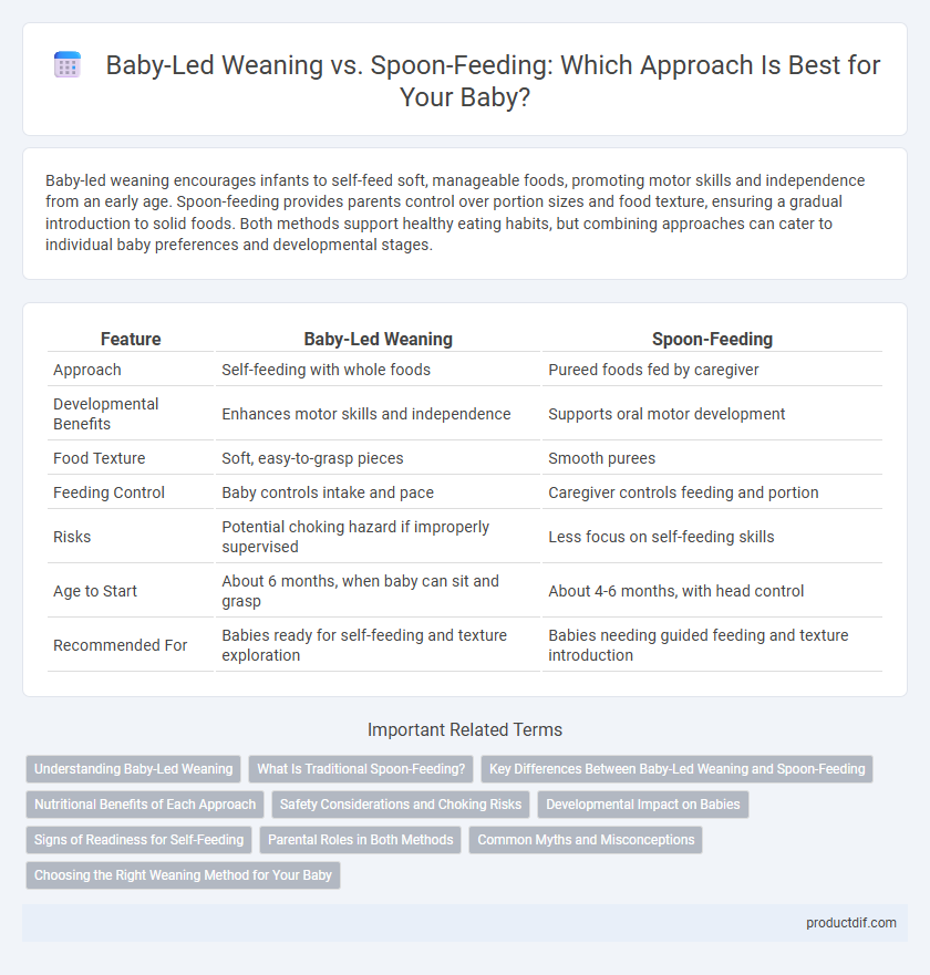 Baby-Led Weaning vs. Spoon-Feeding: Which Approach Is Best for Your Baby?