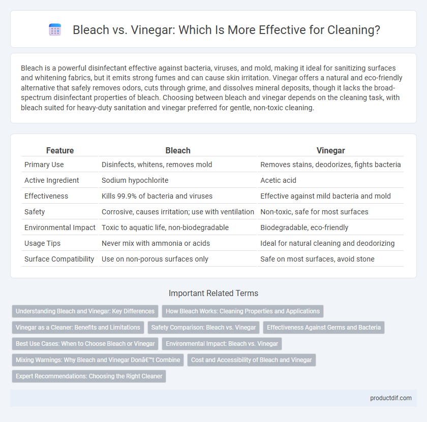 Bleach vs. Vinegar: Which Is More Effective for Cleaning?