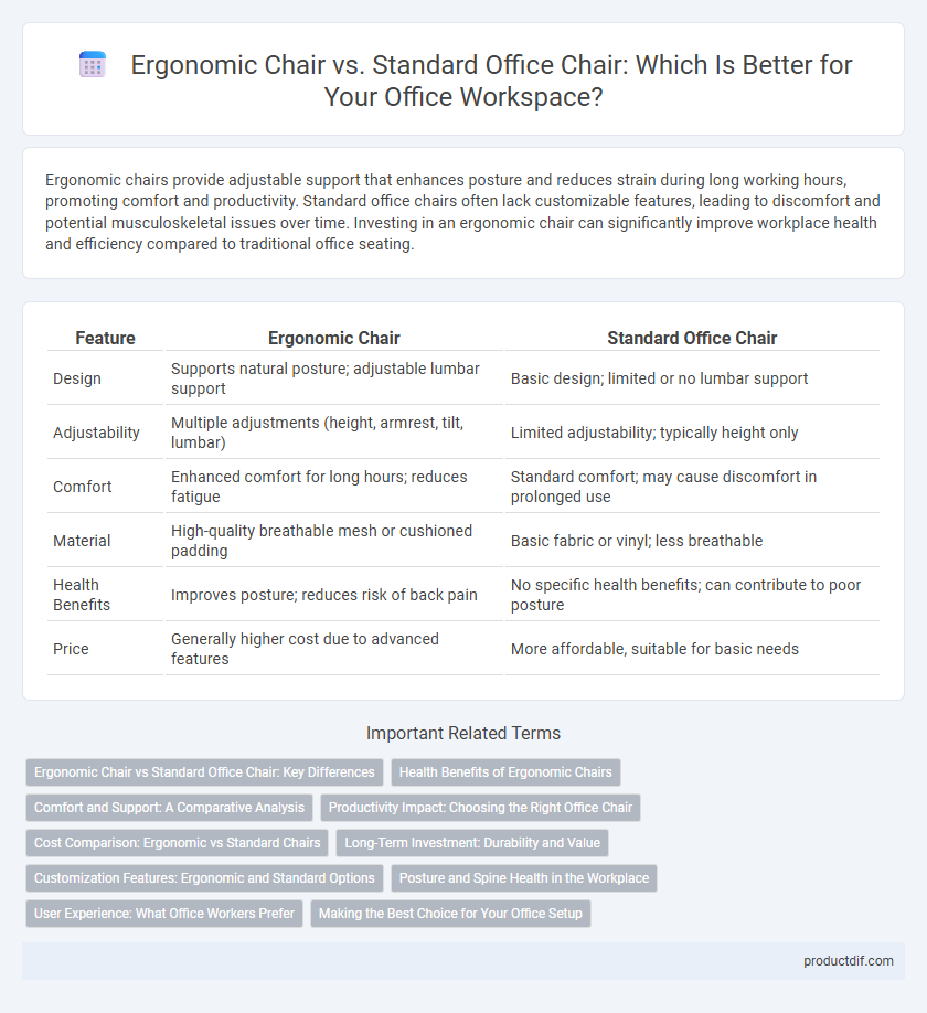 Ergonomic Chair vs. Standard Office Chair: Which Is Better for Your Office Workspace?