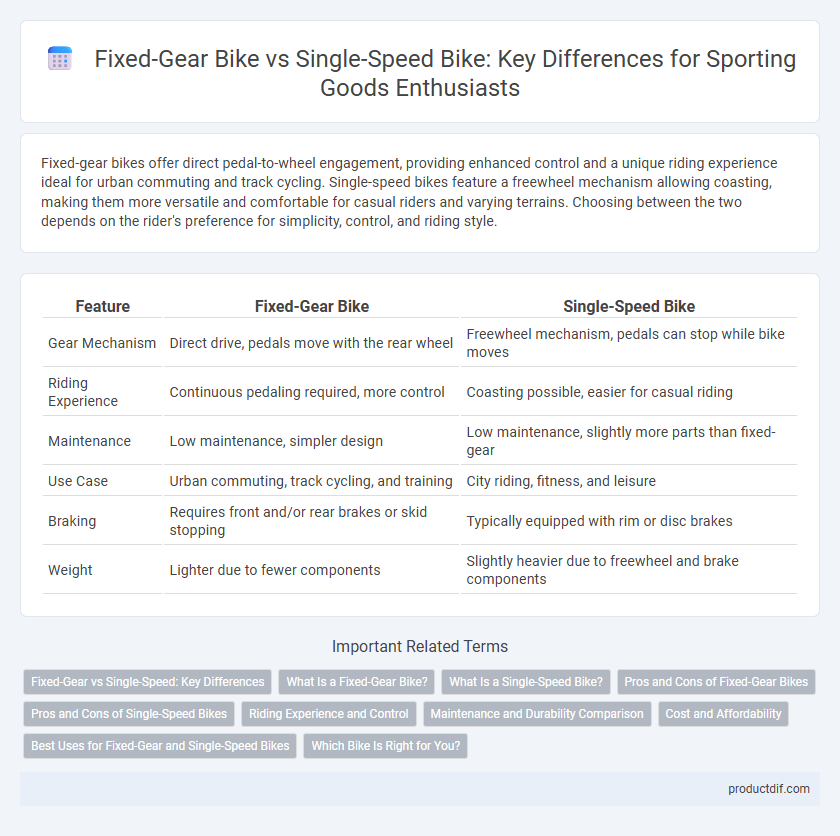 Fixed-Gear Bike vs Single-Speed Bike: Key Differences for Sporting Goods Enthusiasts