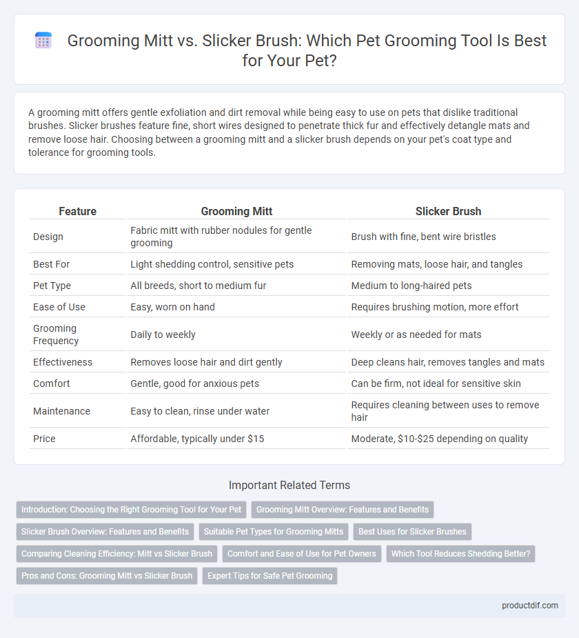 Grooming Mitt vs. Slicker Brush: Which Pet Grooming Tool Is Best for Your Pet?