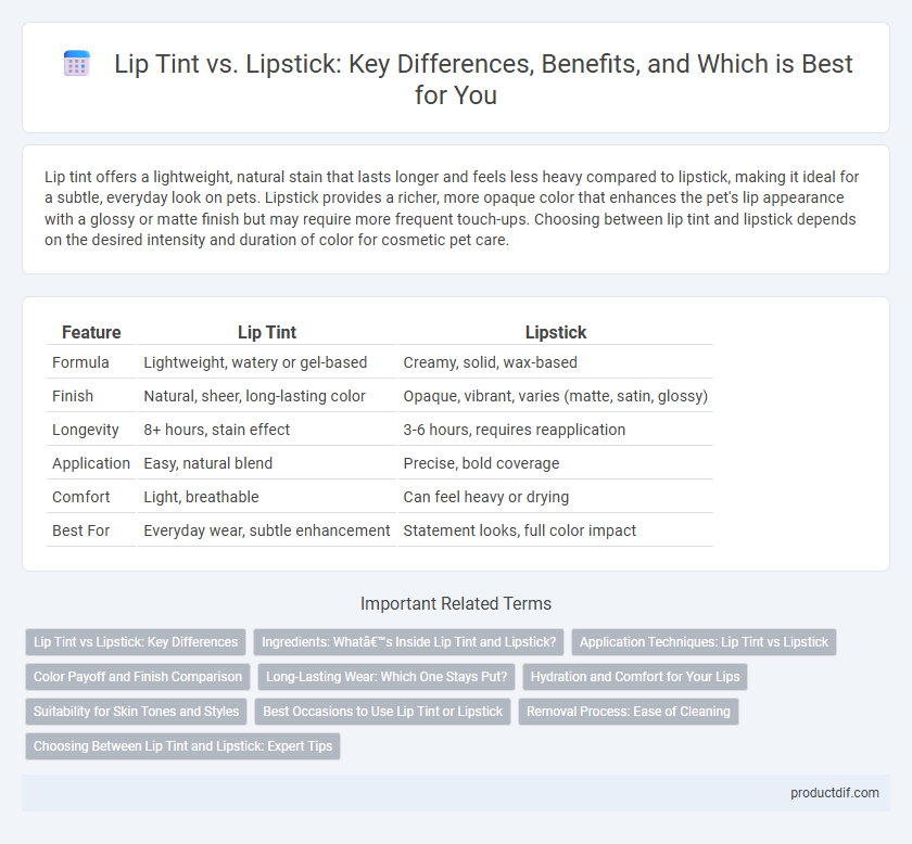 Lip Tint vs. Lipstick: Key Differences, Benefits, and Which is Best for You