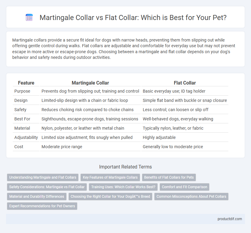 Martingale Collar vs Flat Collar: Which is Best for Your Pet?