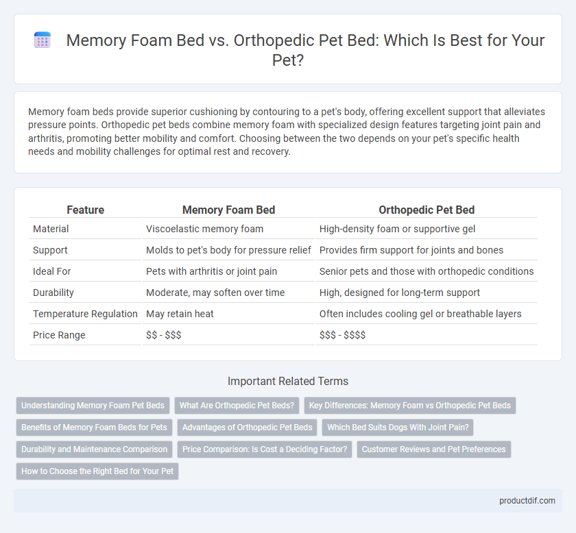 Memory Foam Bed vs. Orthopedic Pet Bed: Which Is Best for Your Pet?